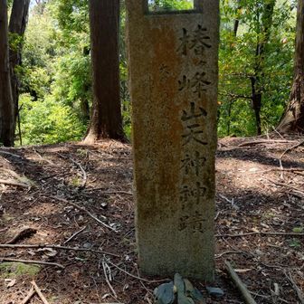 やっととだり着いた椿ケ峰山天神神蹟
お疲れ山 (^_^)/~~ｻﾖﾅﾗ
