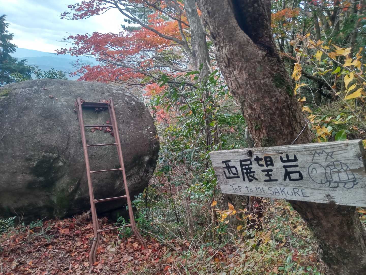 亀の絵がかわいい🐢
どれどれ展望してみるか！