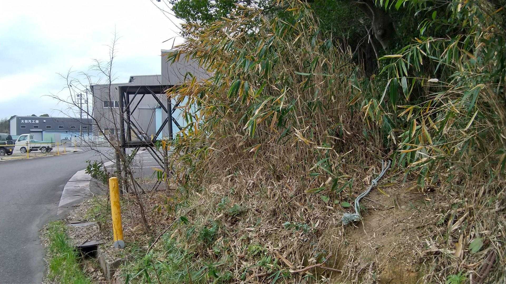 少し歩いて、ここが☝️登山口😅

特に目立つ標識が無いので、この黄色いポールが目印かな🤔