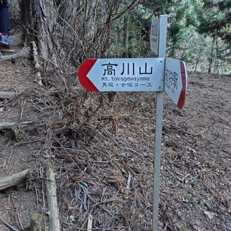 いざ、高川山へ