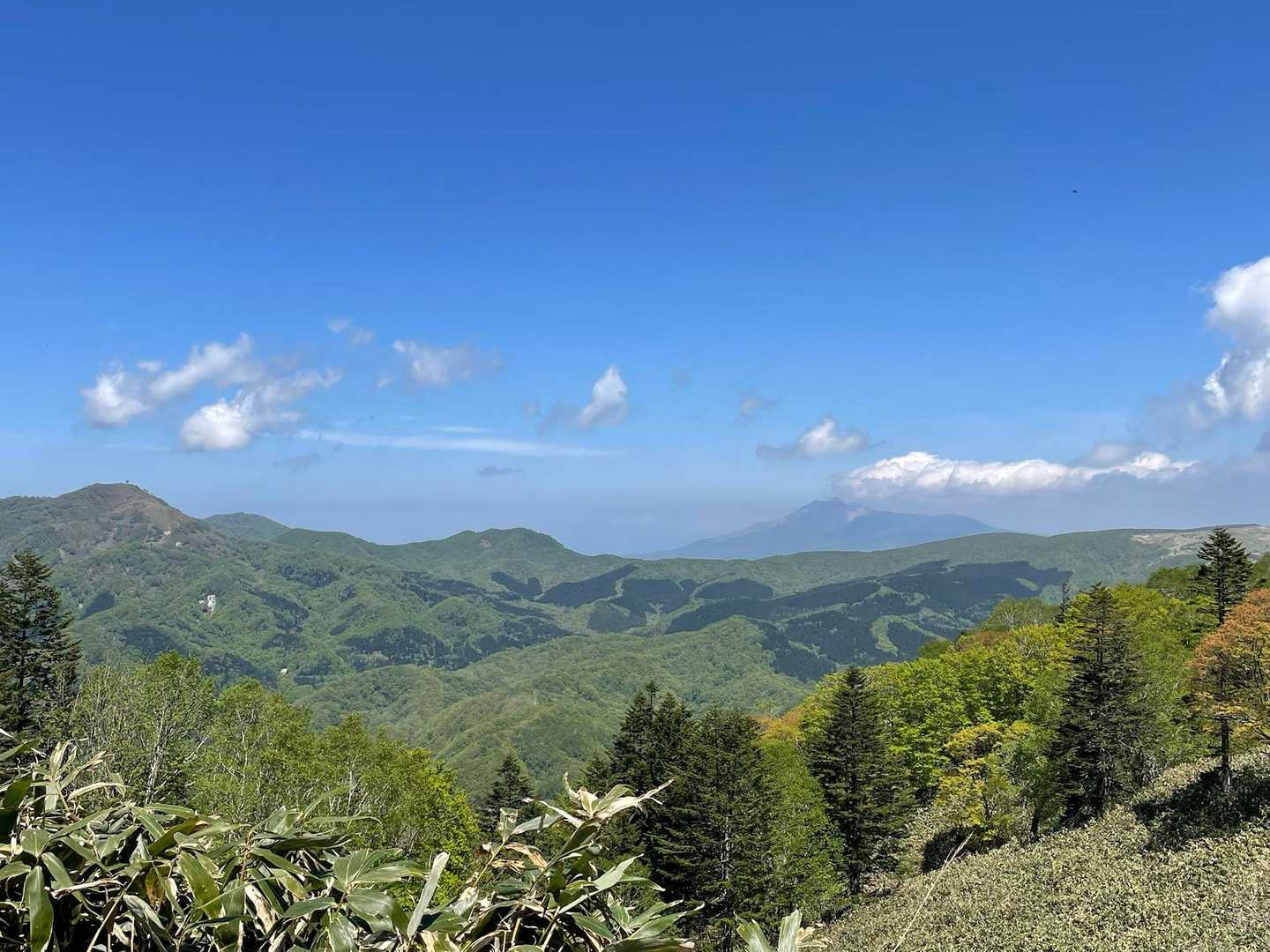 何度も撮らさる風景