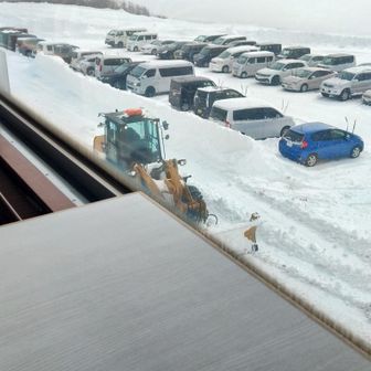 ２階レストランでラーメン🍜
撮ったのに保存されませんでした
除雪中の従業員と目があった😅