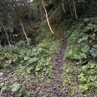 ココから登山スタートです👊