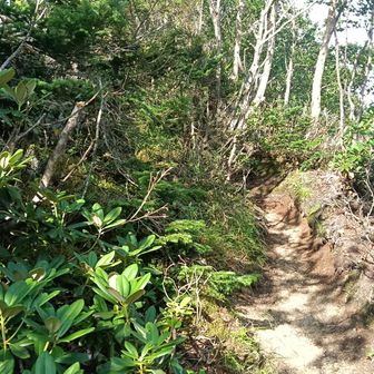 七合目  太陽浴びて気分爽快