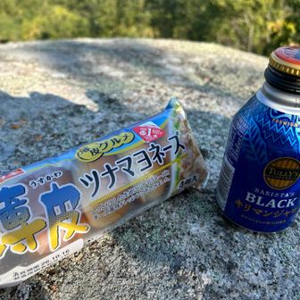 八畳岩で朝ごはん
薄皮ツナマヨネーズ旨いやん