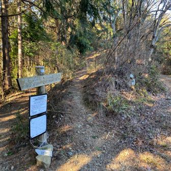 意味もなく登り坂を選ぶ