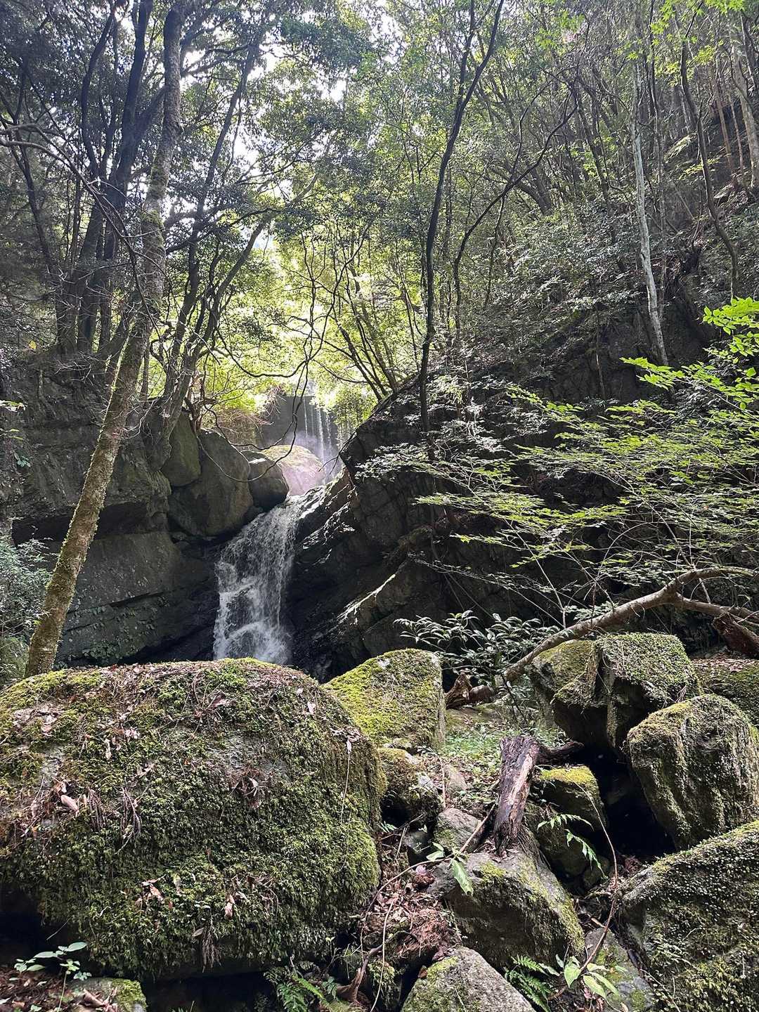 9. 和泉葛城山の写真