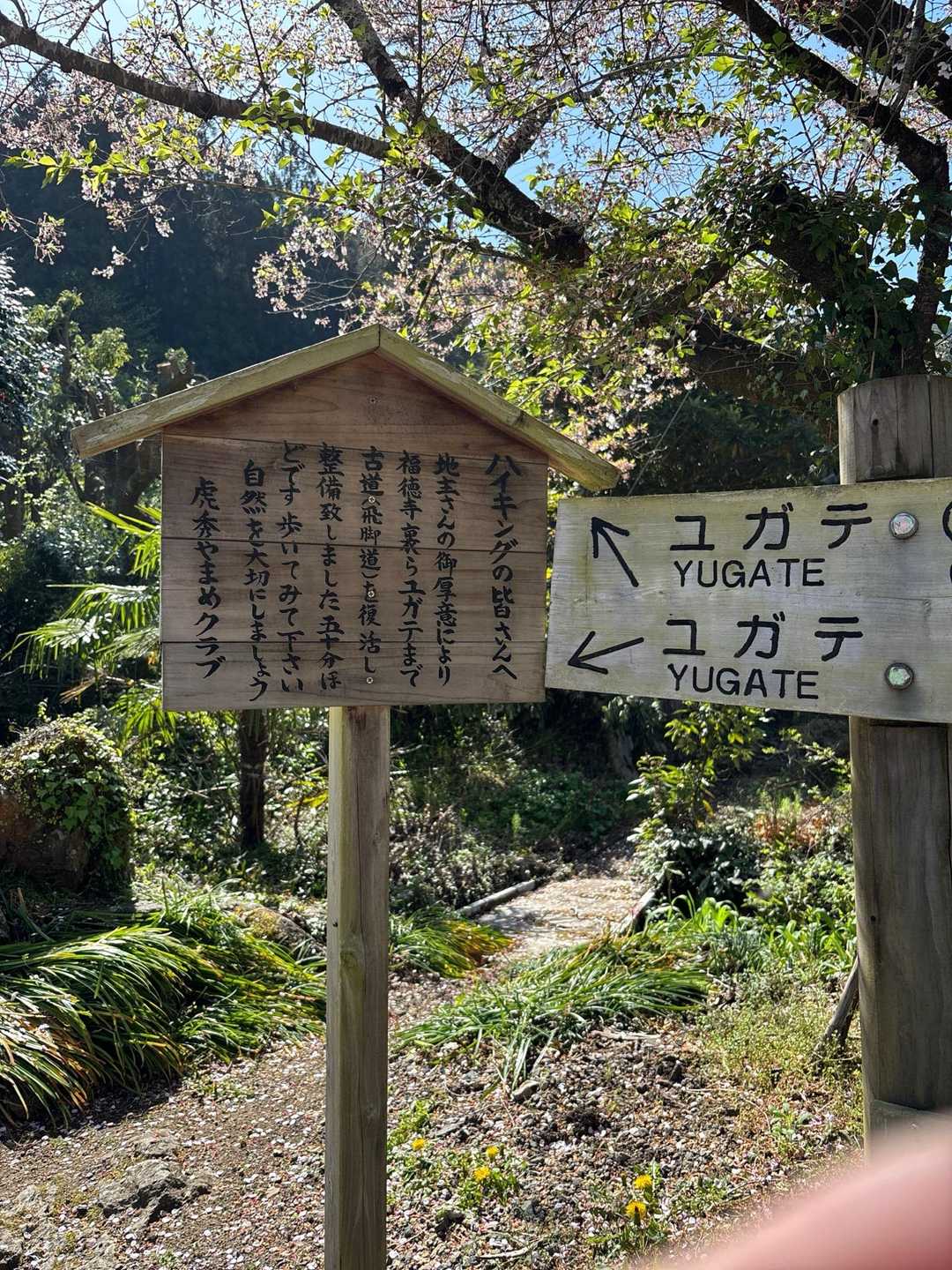 飛脚道（山道）は敬遠して、車道ルートを選択したけど、立て看板に徒歩50分とか書いてある。
少し心が動いたが、予定通り車道を行く。