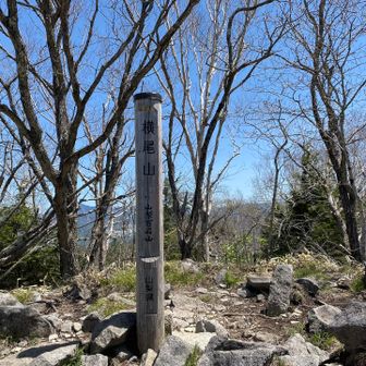 横尾山山頂到着‼️
本日２座目の山百です👍