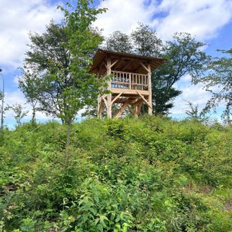 展望台を振り返る
すっかり汗も引いて、爽やかに下山開始