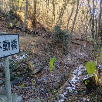 振り返ってパチリ