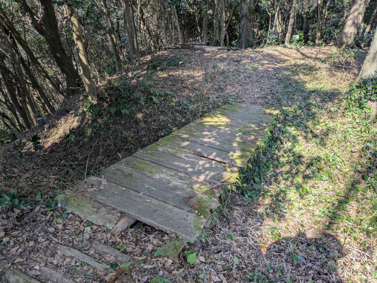 周回を続ける 
月ヶ峰ピークは看板などはないのでピンテと人が歩いた気配を追って探す