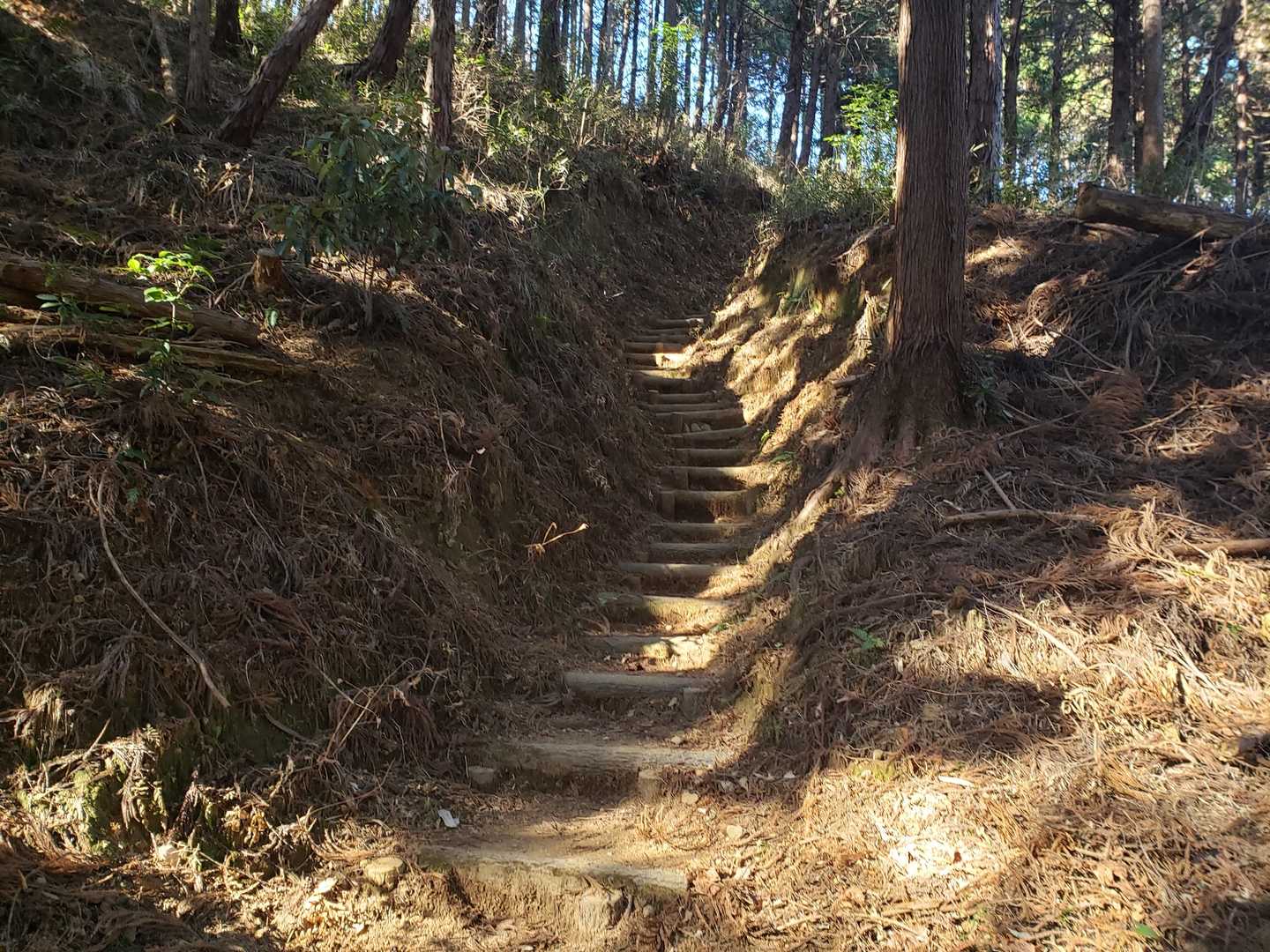概ね階段多めで良く整備されてます