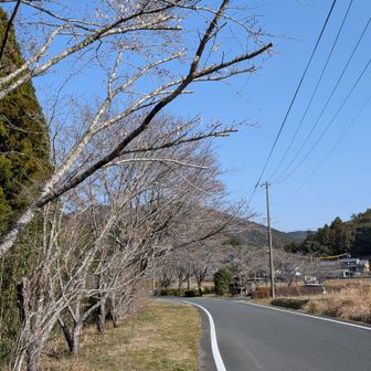 渋川親水公園駐車場からスタート