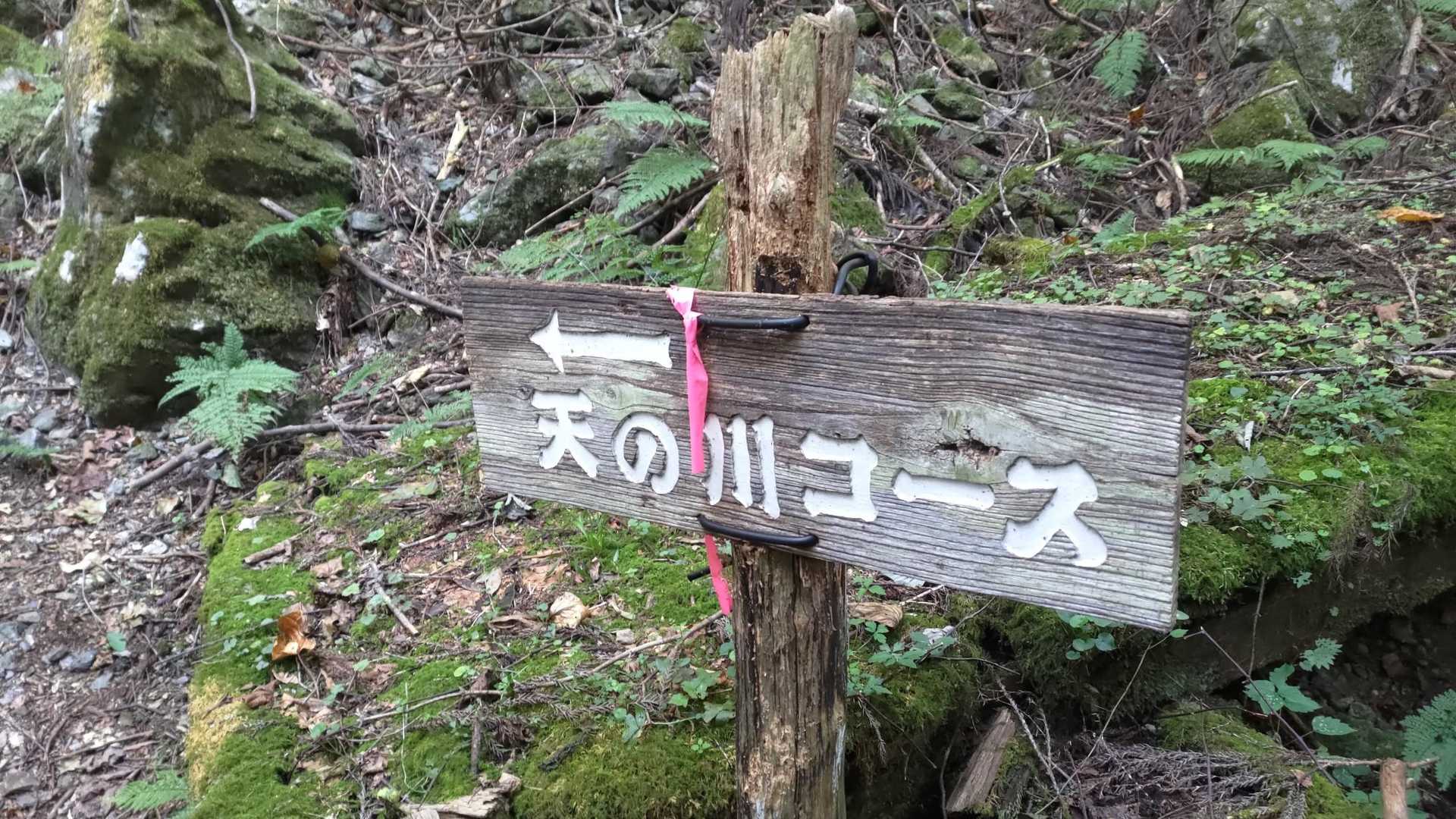井水山-中央峰-泉山 往復コースの写真