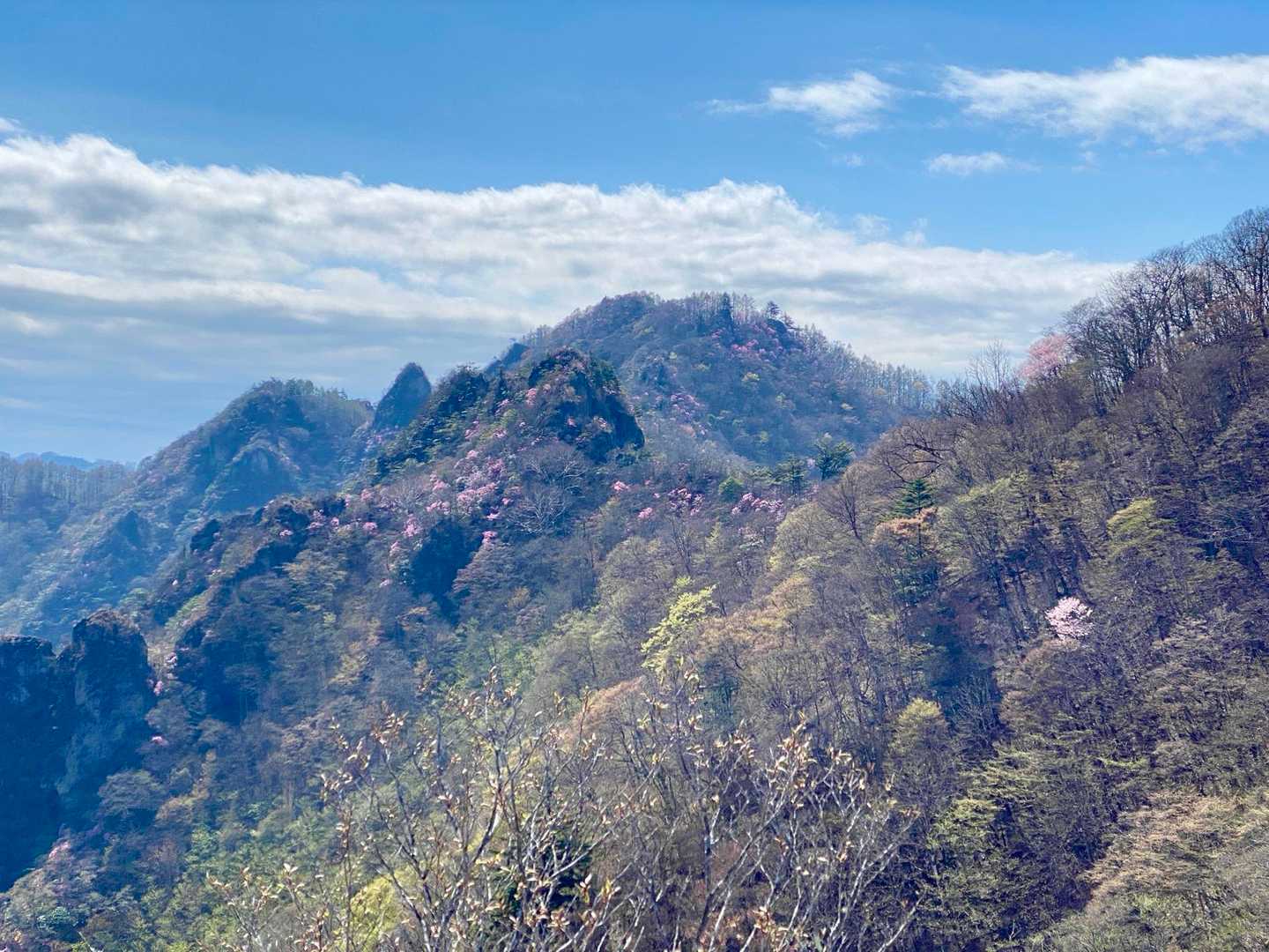 烏帽子岳登山口-烏帽子岳 往復コースの写真
