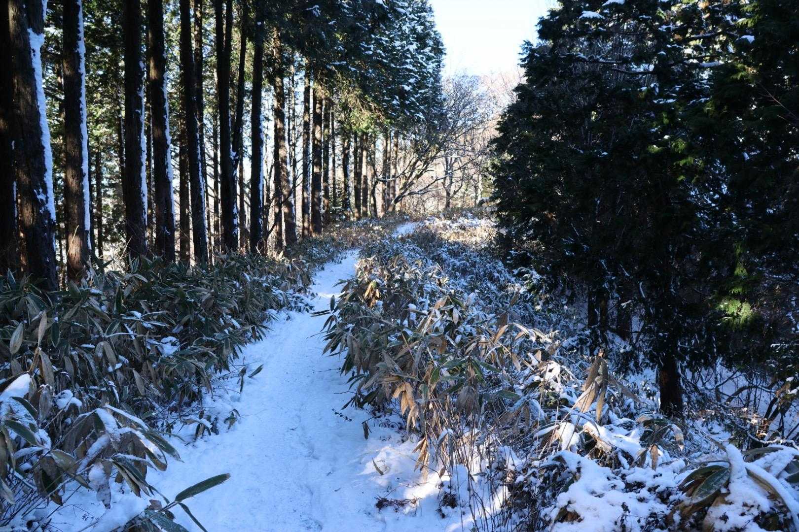 日陰のところはふかふか雪