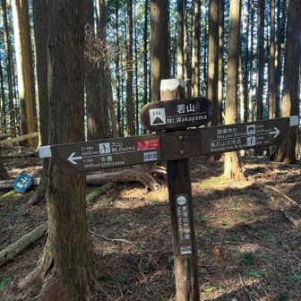 若山到着
帰りはあっというまです♪