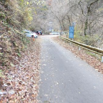 塩水橋。車はヤビツ峠方面から来られるようです。
５台ぐらい停まっていました。確かにそのぐらいの登山者とすれ違った。ここからスタートしていたのかな。
前橋ナンバーとか宇都宮ナンバーとか遠くから来られていました。