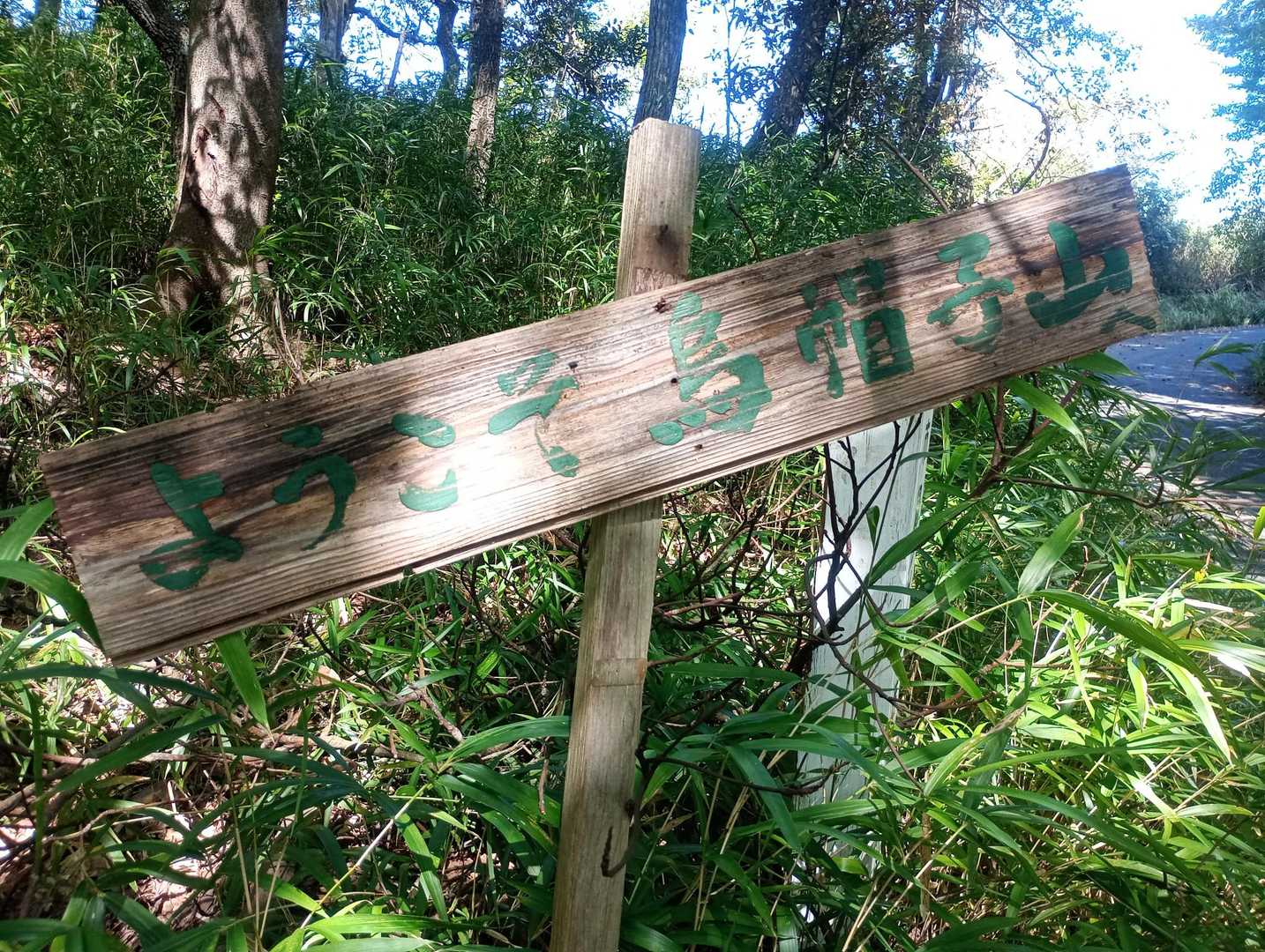 登山口の標識
拾い上げて立て掛けましたが