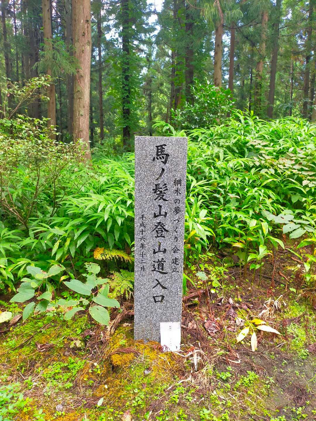 メチャンコ立派な道標です