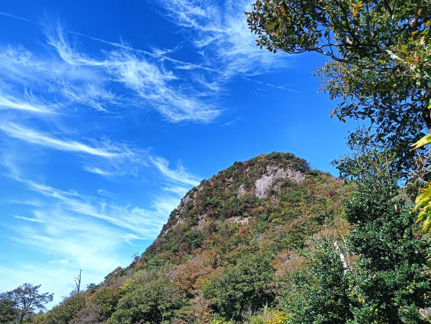 比較的歩きやすい登山道を歩いて釈迦岳山頂まであと少し！空の青さと釈迦岳山頂の緑が綺麗でした🤩