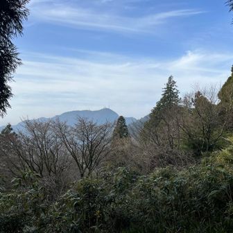 おはようございます☀五家原さん
