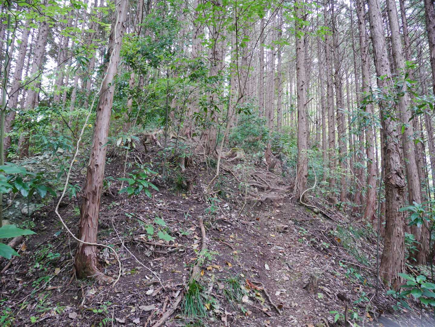 西金砂神社-西金砂山-地割 往復コースの写真