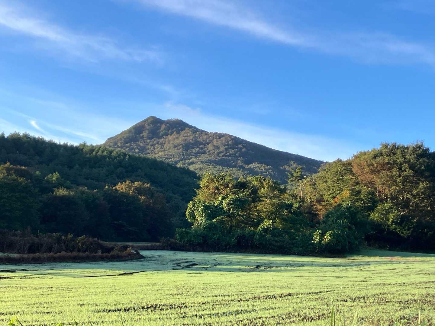 久慈平岳 往復コースの写真