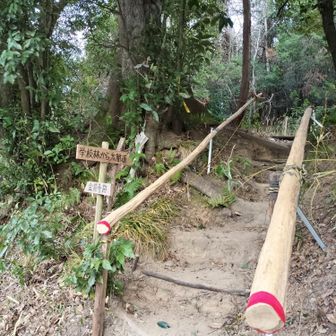 今日は学校林経由で上ってみます😌前回通った時よりも整備されてる😮両側に手すりがついて段がついてる😮