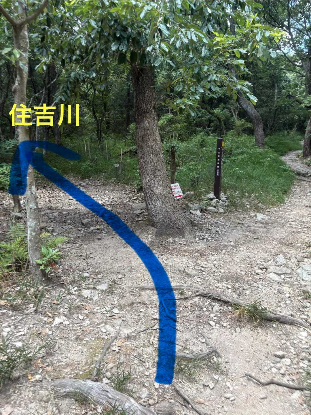 登山道を逸れて住吉川へ向かいます🚶