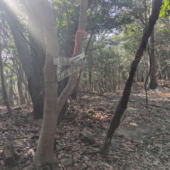 こんな感じの山頂です！