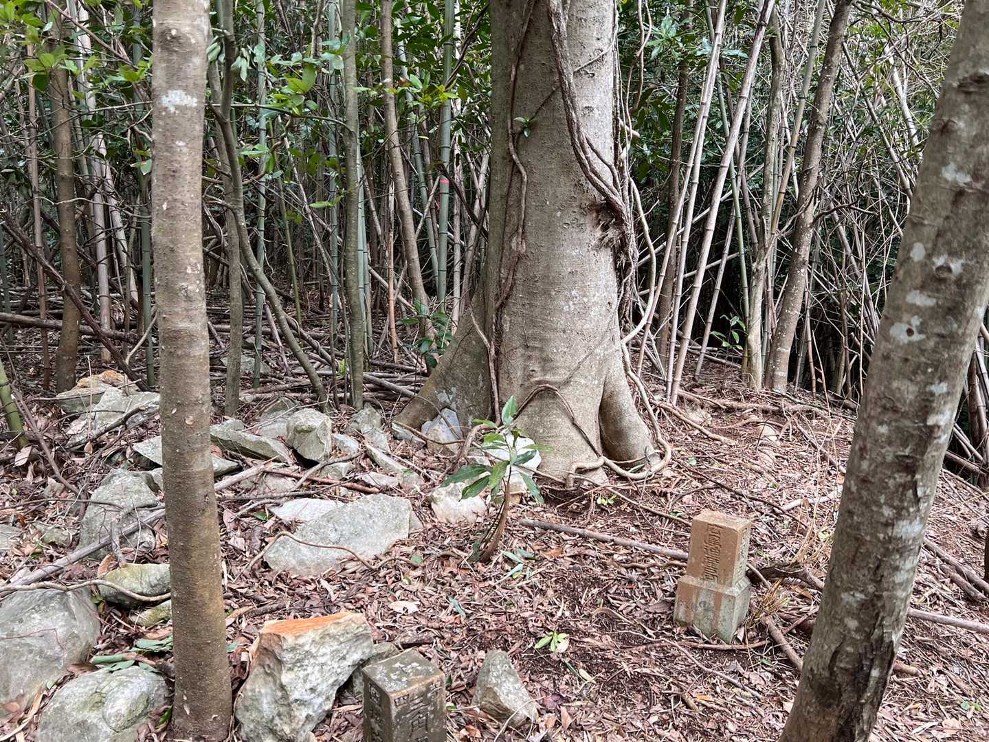 10座目　経塚山
ここでええんよね？