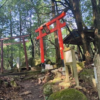 摩耶山頂にゃ