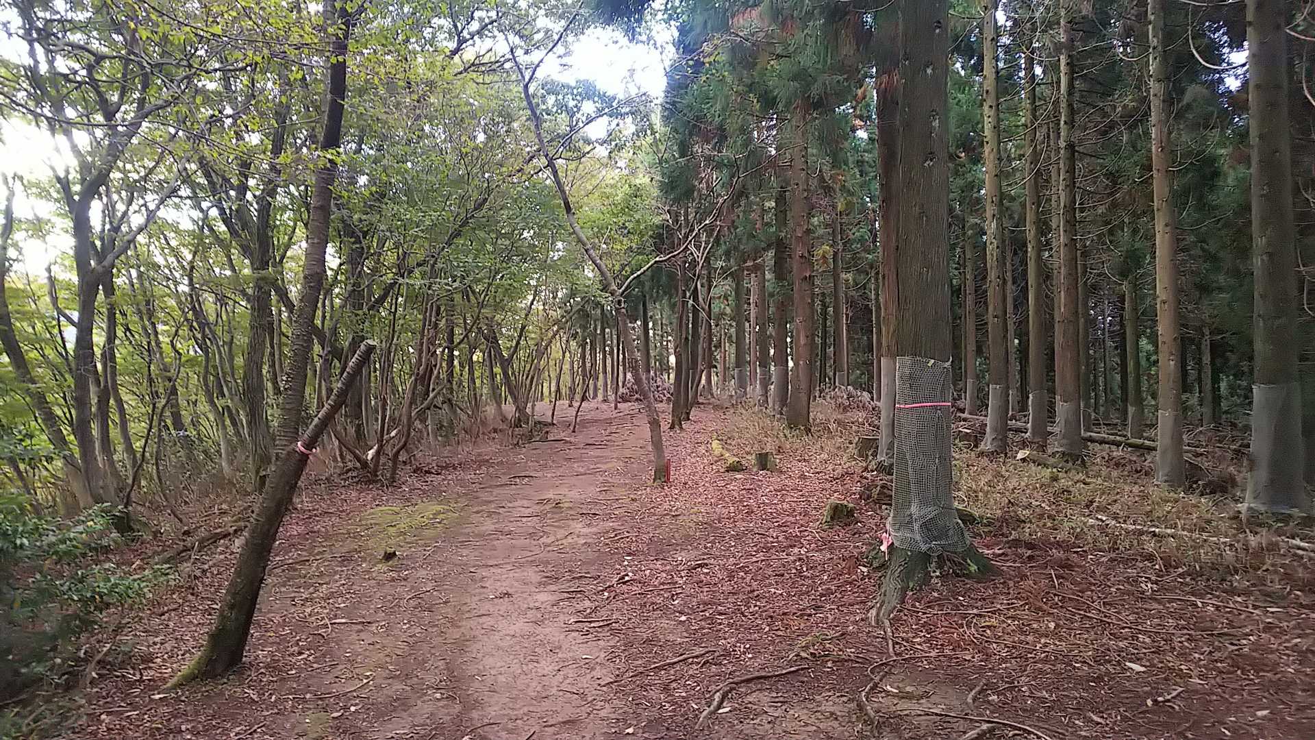 これは馬も移動出来る🐴　猛る武士もののふはここから出撃しただろうな