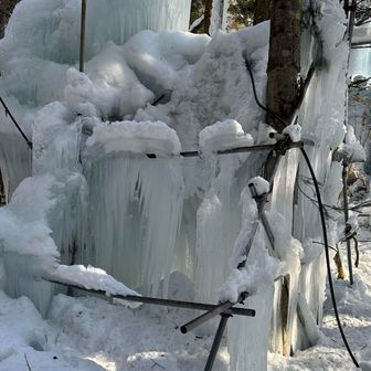 よくやるねえ。維持するの大変だろう