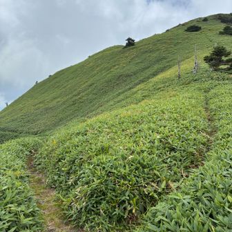 左へ鞍瀬の頭にはもう登れません。