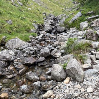 下山ルートにはいくつか渡渉ポイントありますが、どこもたいした水量ではありませんでした