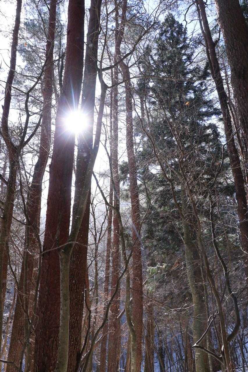 寧比曽岳 往復コースの写真