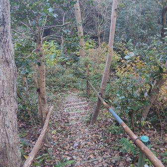 ちょっと味変で道の変更を