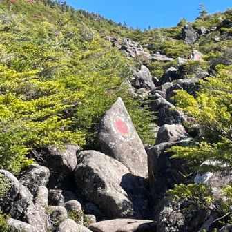 マーキングに沿って岩を登っていきます。