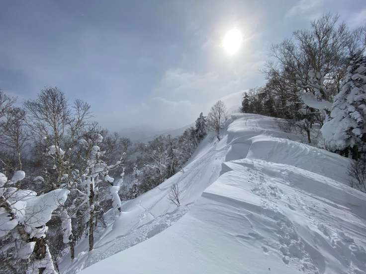 タケノコ山（北海道） | YAMAP / ヤマップ