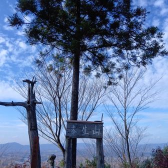 景色がいいとは聞いていたけど
わざわざ来る気にはならず今まで未踏だった

とっても登りやすくて眺望Wonderful👍️