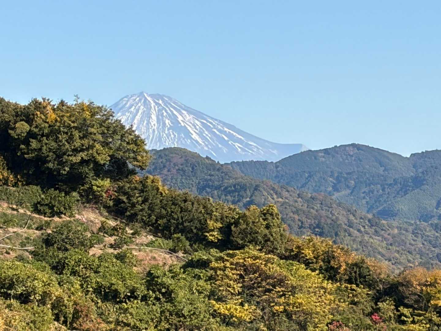 賤機山古墳-麓山神社-浅間山-賤機山-茶臼山 縦走コースの写真