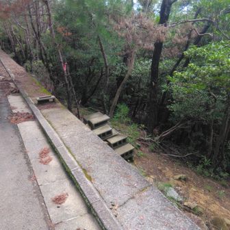 KAKITSUはこのブロック階段を降ります(尾根コース)