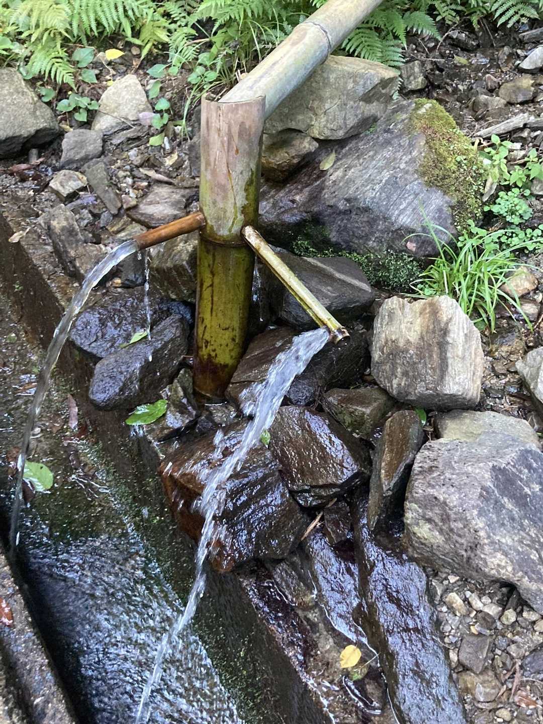 水場、飲めないけど💦