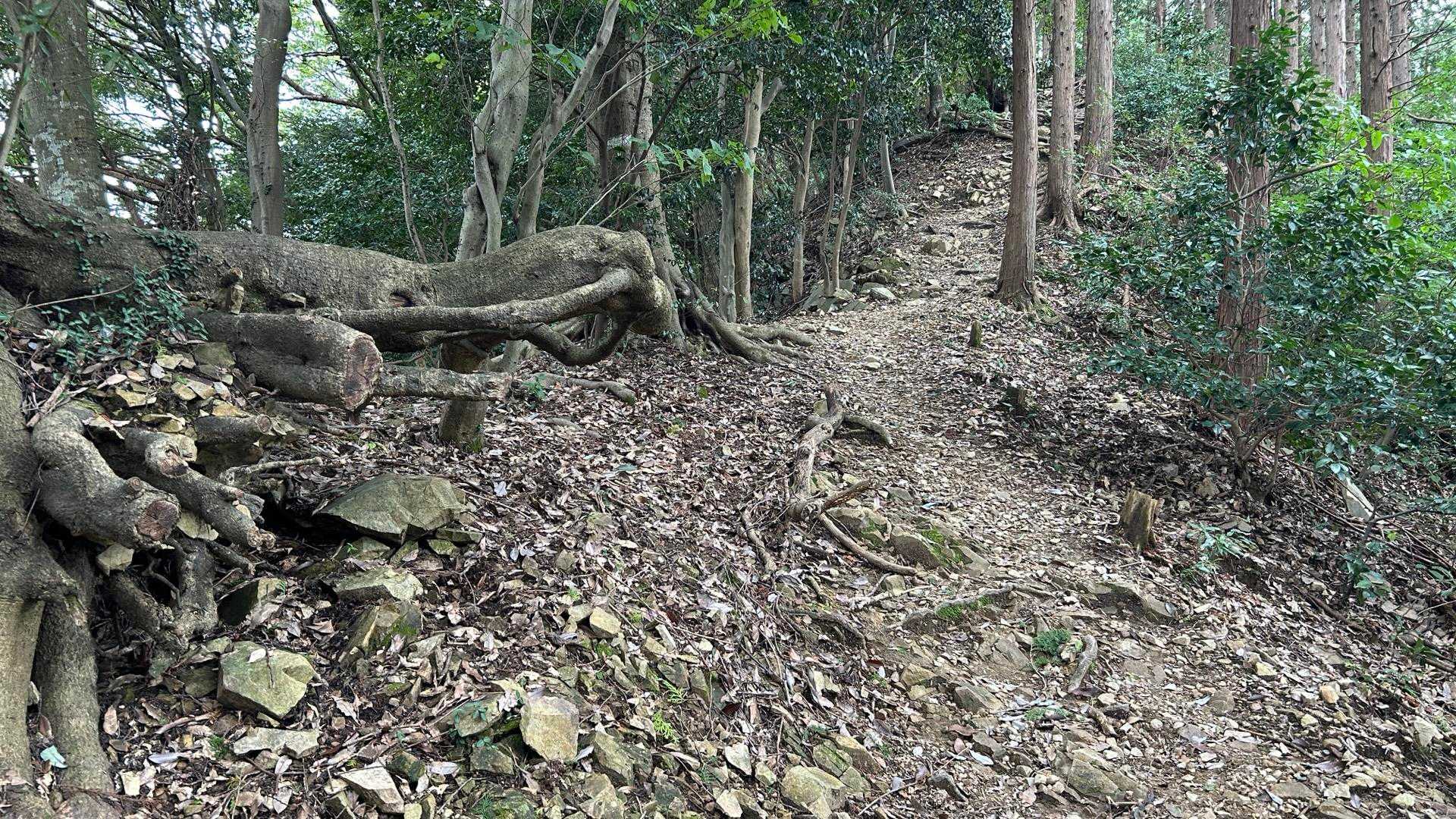 まだまだ急登が続く