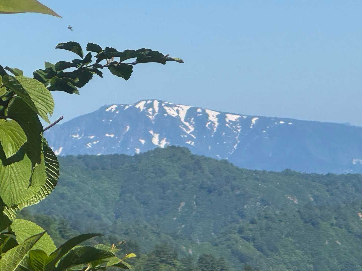 こちらは、浅草岳なのかな〜✨