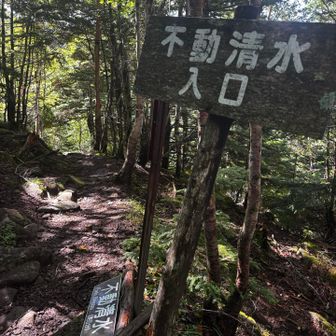 清水まで１００m帰りによります