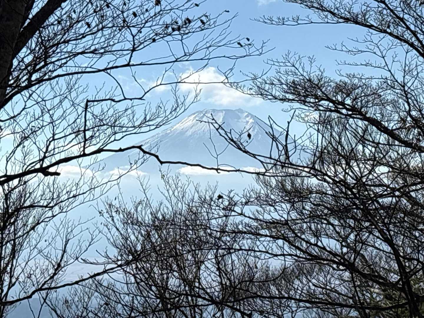 やっと富士山が見えたぁ〜💦